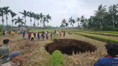 Lubang Besar Muncul di Sawah Pombatan, Kedalaman Capai 20 Meter