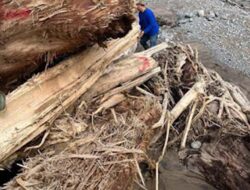 Kayu Longsor dan Hanyutan Banjir Bisa Dimanfaatkan Warga