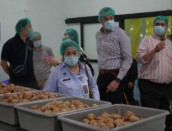 Kadin Jepang Kagum Program Makan Bergizi Gratis Indonesia Jangkau 60 Juta Orang