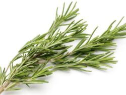 7 Rebusan Daun Alami yang Dipercaya Bantu Menurunkan Gula Darah