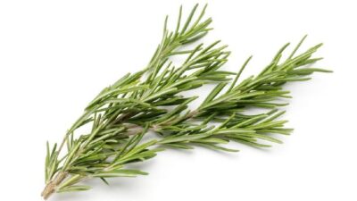 7 Rebusan Daun Alami yang Dipercaya Bantu Menurunkan Gula Darah