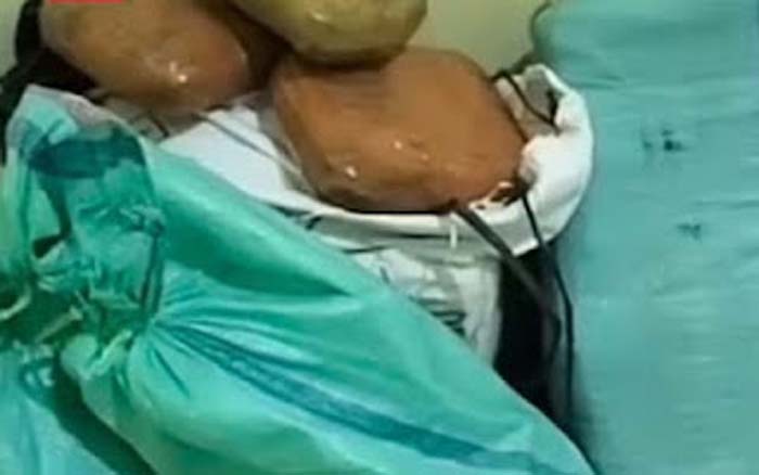 Narkotika jenis ganja.