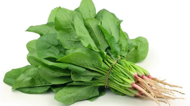 Bayam memang sehat, tapi jika konsumsinya tidak diatur bisa membahayakan ginjal anak.