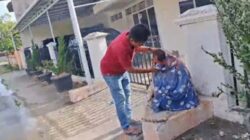 Seorang warga nyaris pingsan setelah diserang kawanan lebah