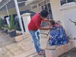 Insiden Serangan Lebah di Padang Timur, Korban Dibawa ke RS