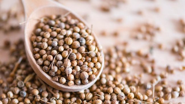 Selain buat bumbu, ketumbar juga punya khasiat kesehatan.