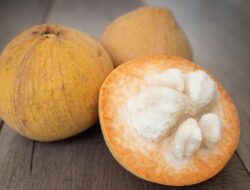 Buah Kecapi Jadi Sorotan, Ini Beragam Manfaat Kesehatannya