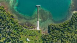 Pemerintah resmi menetapkan Taman Perairan Wetar Bagian Barat seluas 325 ribu hektare di Maluku sebagai kawasan konservasi laut baru melalui Kepmen KKP.