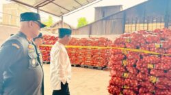 Mentan saat turun langsung ke Semarang untuk mengecek 133,5 ton bawang bombay ilegal yang masuk tanpa izin.
