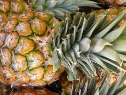 Manis dan Segar, Ini 9 Manfaat Nanas untuk Kesehatan Tubuh