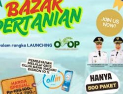 Pemkab Dharmasraya Luncurkan OVOP dan Bazar Pertanian