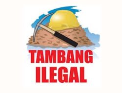 8 Pekerja PETI Meninggal Akibat Longsor di Jambi