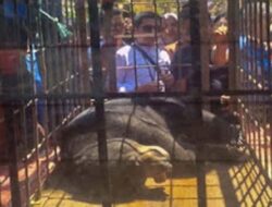 BKSDA Imbau Warga Hindari Jerat dan Aktivitas Berisiko
