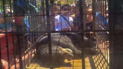 BKSDA Imbau Warga Hindari Jerat dan Aktivitas Berisiko