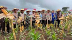 Kapolda Sumbar, Irjen Pol Gatot Tri Suryanta, mengungkapkan bahwa hasil panen jagung