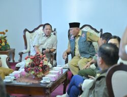 Mendagri Dorong Kepala Daerah Manfaatkan Program Nasional  300 Ribu Jembatan Gantung
