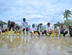 Pemerintah Mulai Melakukan Rehabilitasi Lahan Pertanian Terdampak Bencana di Sumbar