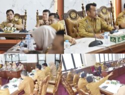 Pariaman Bergerak! 400 Ribu Pohon Ditanam, Jajanan Sekolah Disisir, Pabukoan Diawasi Ketat