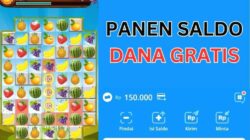 Tren Game Penghasil Saldo DANA 2026, Jangan Asal Klik