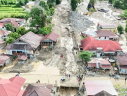 Material Raksasa Ditemui di Hulu, Maninjau Harus Siaga Penuh