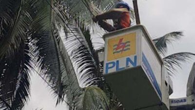 PLN ULP Pariaman Intensifkan Pembersihan Jaringan Listrik Jelang Ramadhan