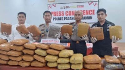 Polres Padang Pariaman berhasil membongkar jaringan besar peredaran narkotika