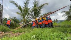 Pemasangan tiang listrik PLN di daerah Gunung Sarik.
