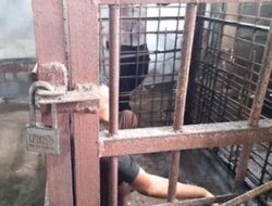 Gangguan Mental, Pria Ponorogo Dikurung di Halaman Rumah