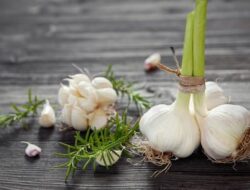 Bawang Putih Bertunas, Masih Amankah untuk Dikonsumsi?