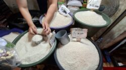 Pemerintah Indonesia membuka alokasi impor beras sebesar 1.000 ton dari Amerika Serikat (AS).