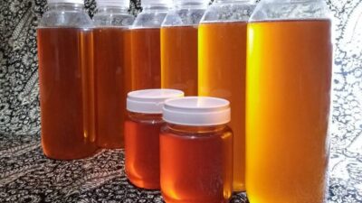 Perhutani Pasok Madu dan Minyak Kayu Putih ke Sumatera.