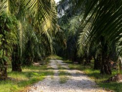 PGN Siap Serap BioCNG dari Proyek Energi Terbarukan di Riau