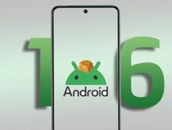 Tujuh Bulan Dirilis, Android 16 Baru Digunakan 7,5 Persen Perangkat