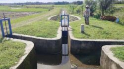 Jaringan Irigasi Anai II kembali aktif mengalirkan air ke lahan persawahan di Pariaman.