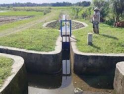 Irigasi Anai II Kembali Mengalir, Petani Pariaman Selatan Sambut Harapan Baru 2026