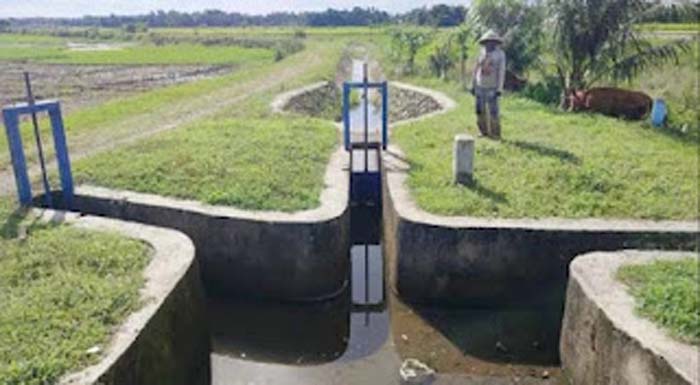 Jaringan Irigasi Anai II kembali aktif mengalirkan air ke lahan persawahan di Pariaman.