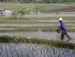 Indonesia Tingkatkan Impor Produk Pertanian AS hingga USD 4,5 Miliar