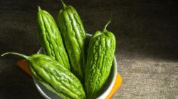 Pare jadi salah satu sayuran kaya vitamin D.