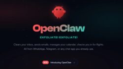 OpenClaw.