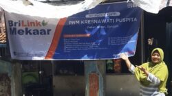 Agen BRILink Mekaar, Kresnawati.