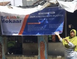 PNM dan BRI Perluas Peluang Usaha Perempuan Prasejahtera Lewat Ekosistem Ultra Mikro