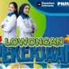 PNM Buka Lowongan Kerja Account Officer, Lulusan SMA Bisa Melamar