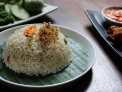 2 Resep Nasi Gurih untuk Sajian Lebaran, Mudah Dibuat dengan Rice Cooker