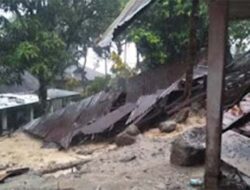 Pemprov Sumbar dan Pemkab Tanah Datar Percepat Pemulihan Pertanian Pascabencana