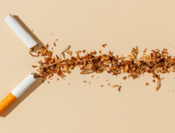 Industri Rokok Khawatir Usulan Batas Nikotin dan Tar Baru Tekan Ekosistem Tembakau Nasional