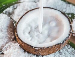 8 Bahan Pengganti Santan untuk Masakan, Tetap Gurih dan Creamy