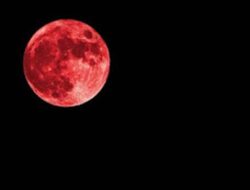 Gerhana Bulan Total 3 Maret, Bisa Dilihat Tanpa Kacamata