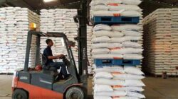 Ilustrasi beras Bulog.