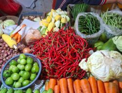 Harga Pangan Melonjak Jelang Lebaran 2026, Cabai dan Daging Jadi Komoditas Termahal