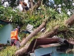 Angin Puting Beliung Terjang Purbalingga, Ratusan Rumah di 21 Desa Rusak